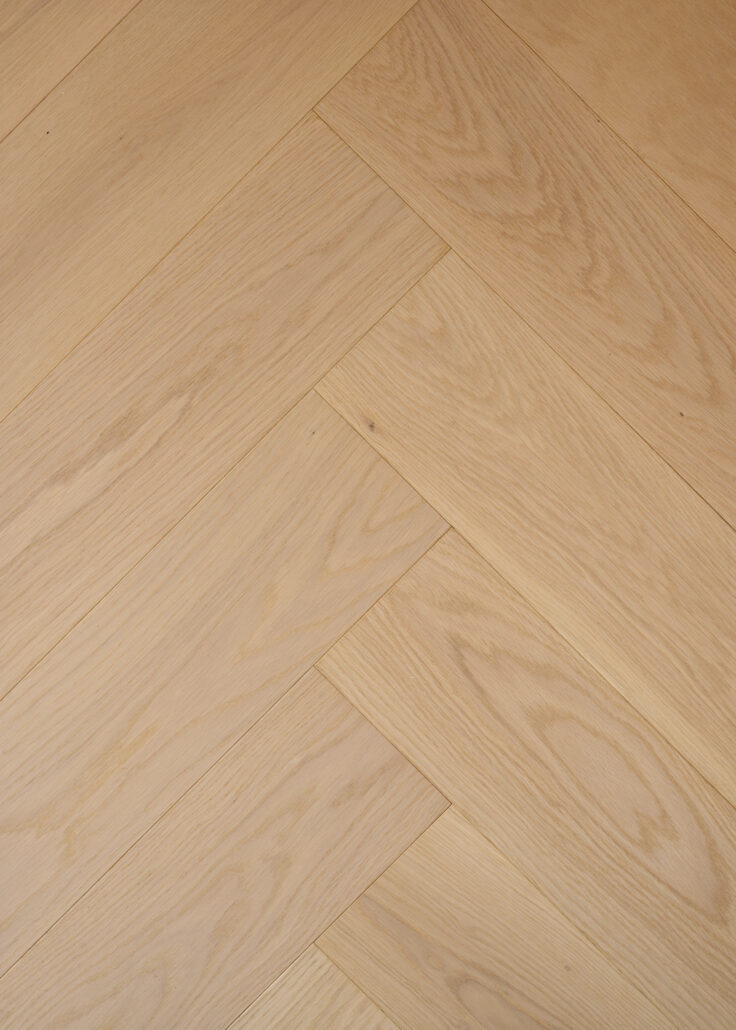 H1459P